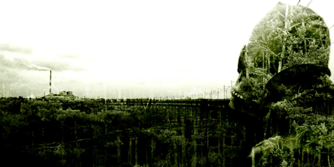 mateusz-bogucki-video-maker