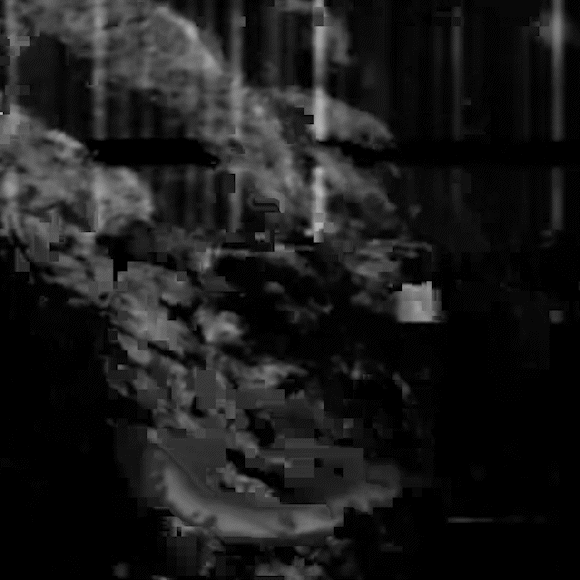 mateusz-bogucki-video-maker
