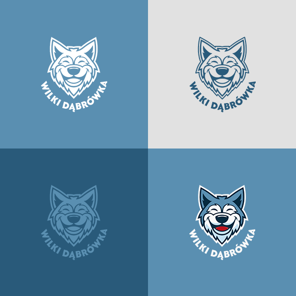 mateusz-bogucki-web-design